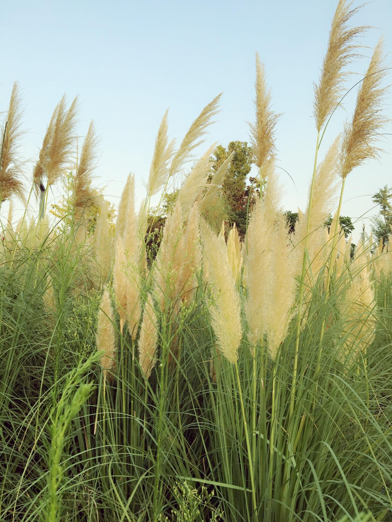 女大学生被诈骗了3900。我心情很压抑怎么办
