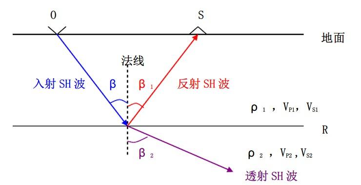 s波p波图片