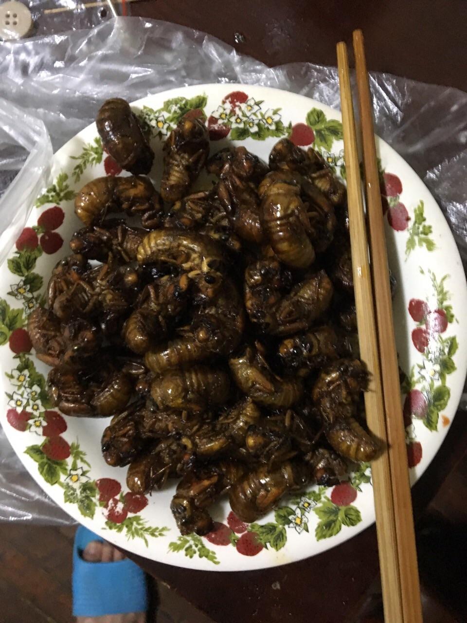 吃知了是一种怎样的体验?