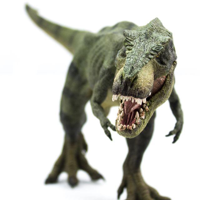 恐龙没能进化成高等智慧生物,可能是因为不够幸运