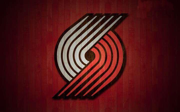 2008-2009赛季波特兰开拓者:玫瑰青年军