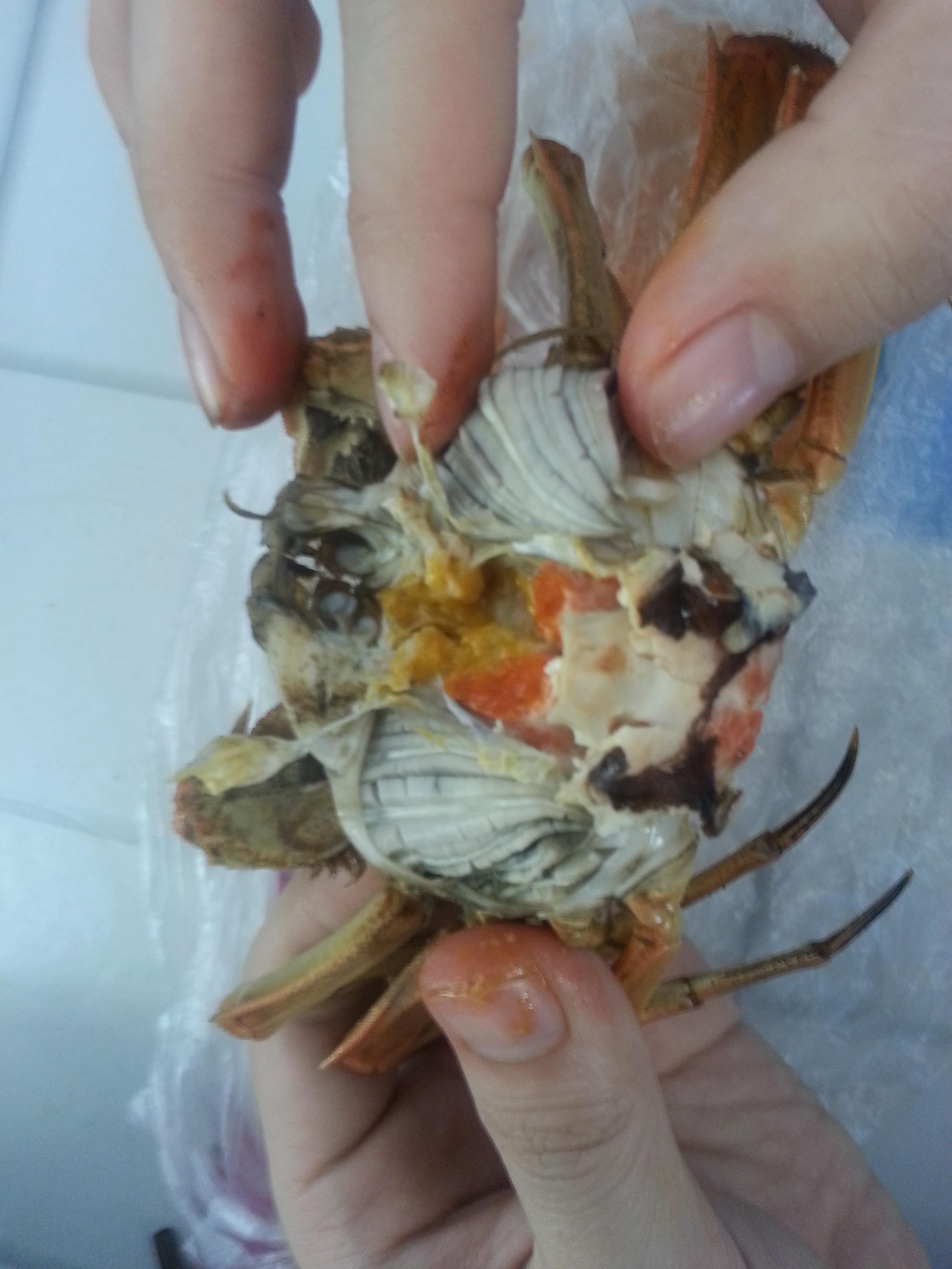 食用螃蟹技巧｜螃蟹哪些部位不能吃＆螃蟹輕鬆剝殼6步驟在這邊｜無毒農