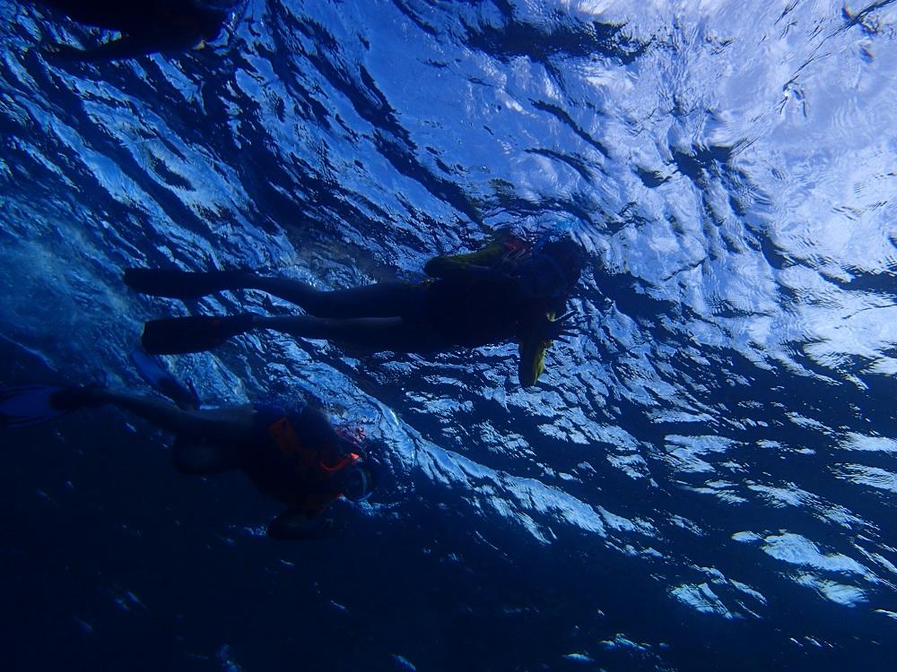 你去过的最好的浮潜 (snorkeling) 地点在什么地方? - 知乎