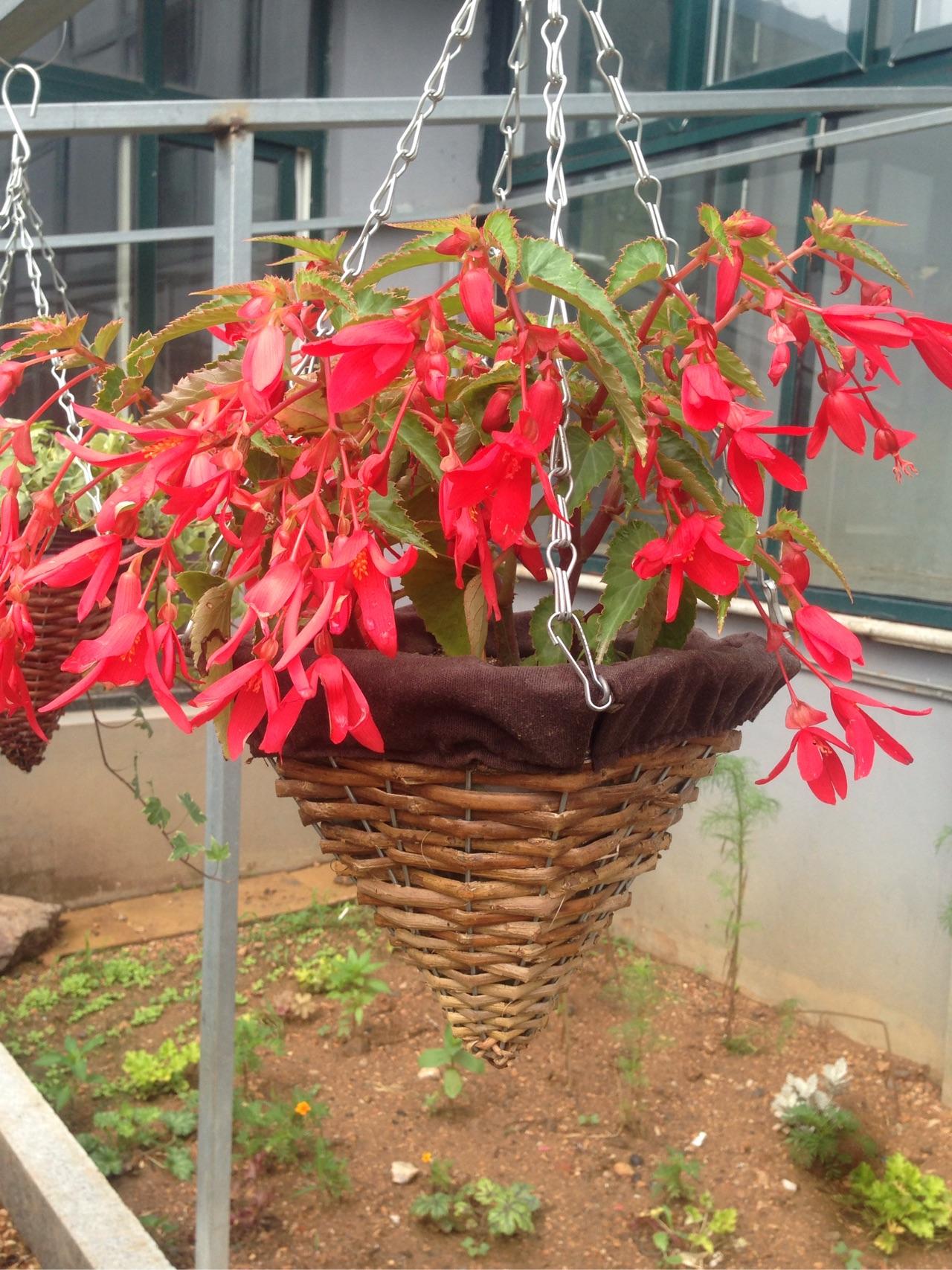 如何早起?现在每天早上都到十一点十二点才起