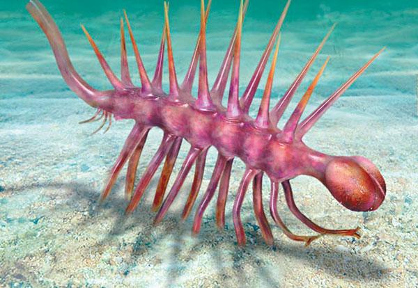 准备读某985海洋地质的研究生,沉积,地化,油气,古生物这些方向有何