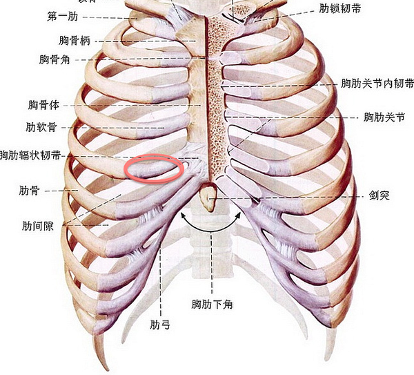 後遺症 肋骨 骨折