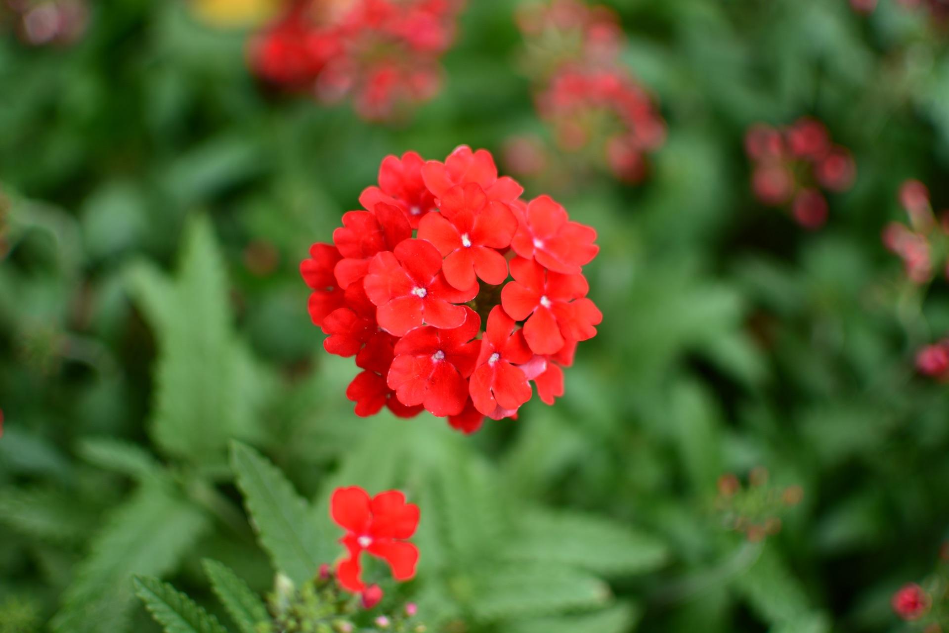 女生喜欢摄影,但没系统学过,买单反好一点还是