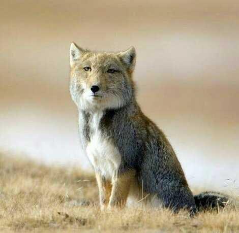 能源与动力工程专业,各大高校的实力排名是怎