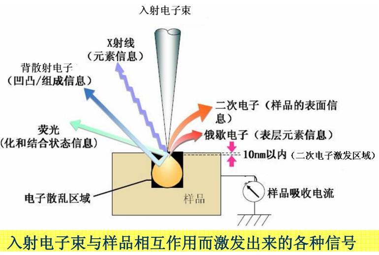 光學顯微鏡透射電鏡和掃描電鏡的區別