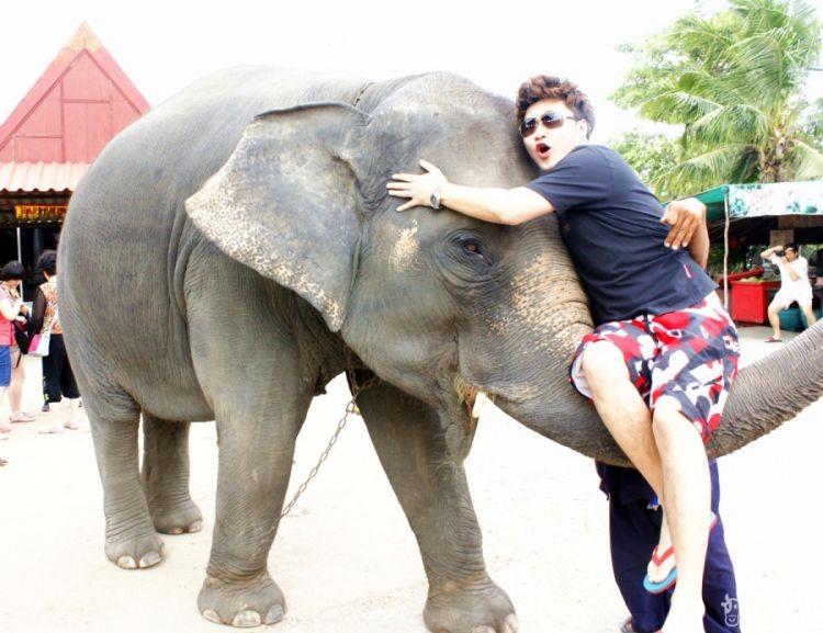 大象用鼻子卷起游人拍照这对大象的鼻子有影响和伤害么