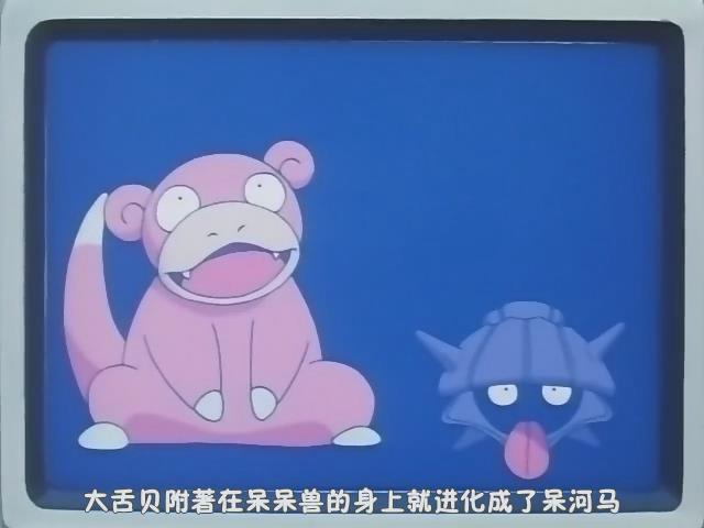 呆河马尾巴上的那只东西是什么