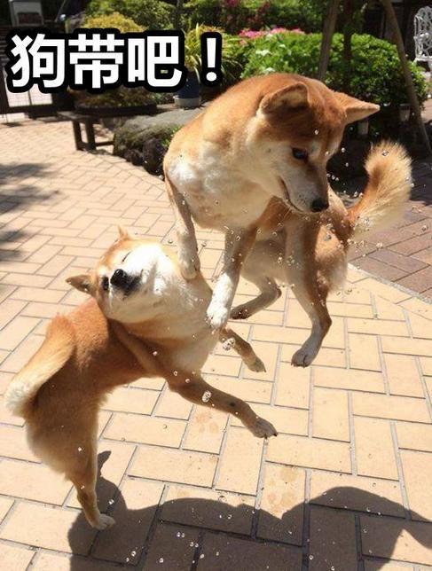 如何看待赵嘉敏想参加活动还需要申请,是否是