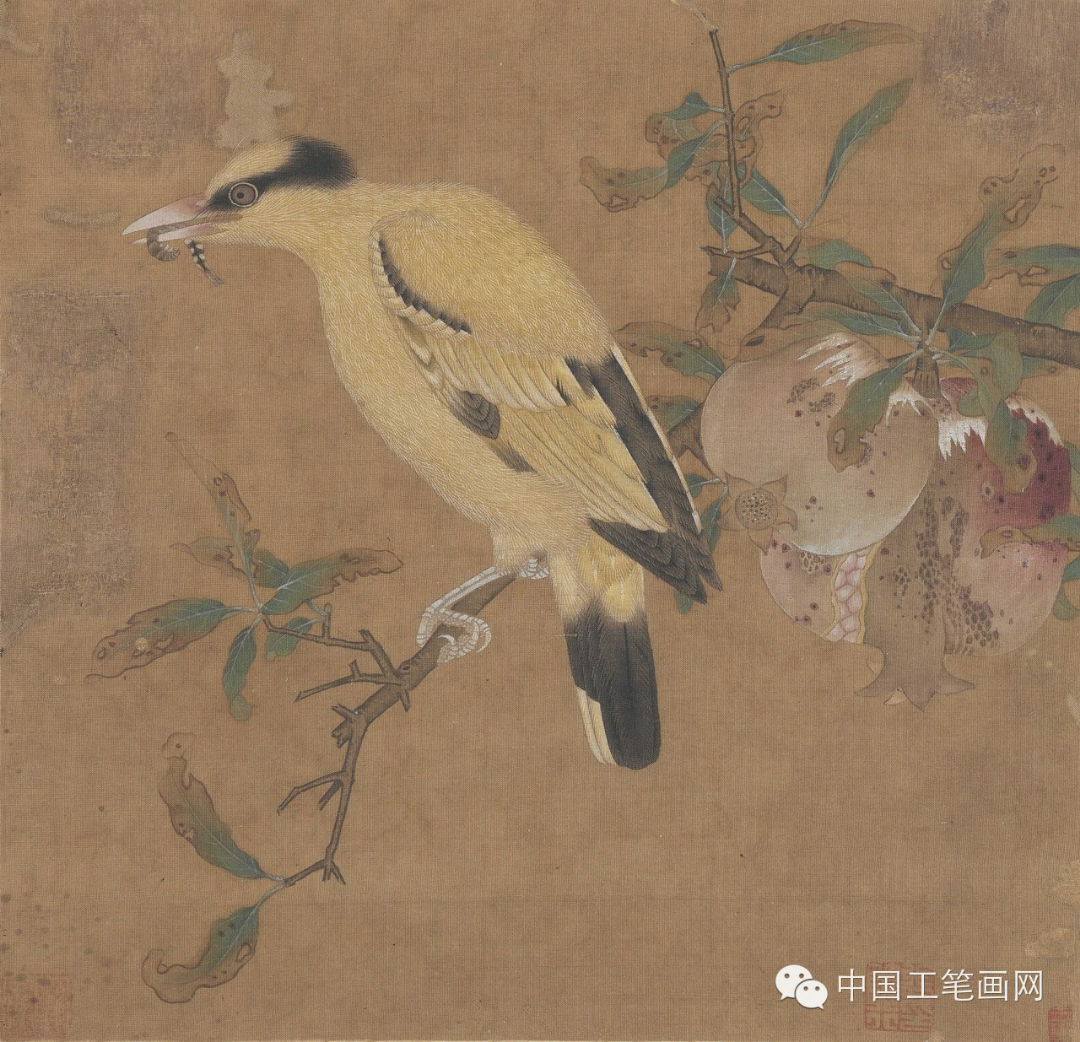 零基础如何学习工笔画? - 知乎