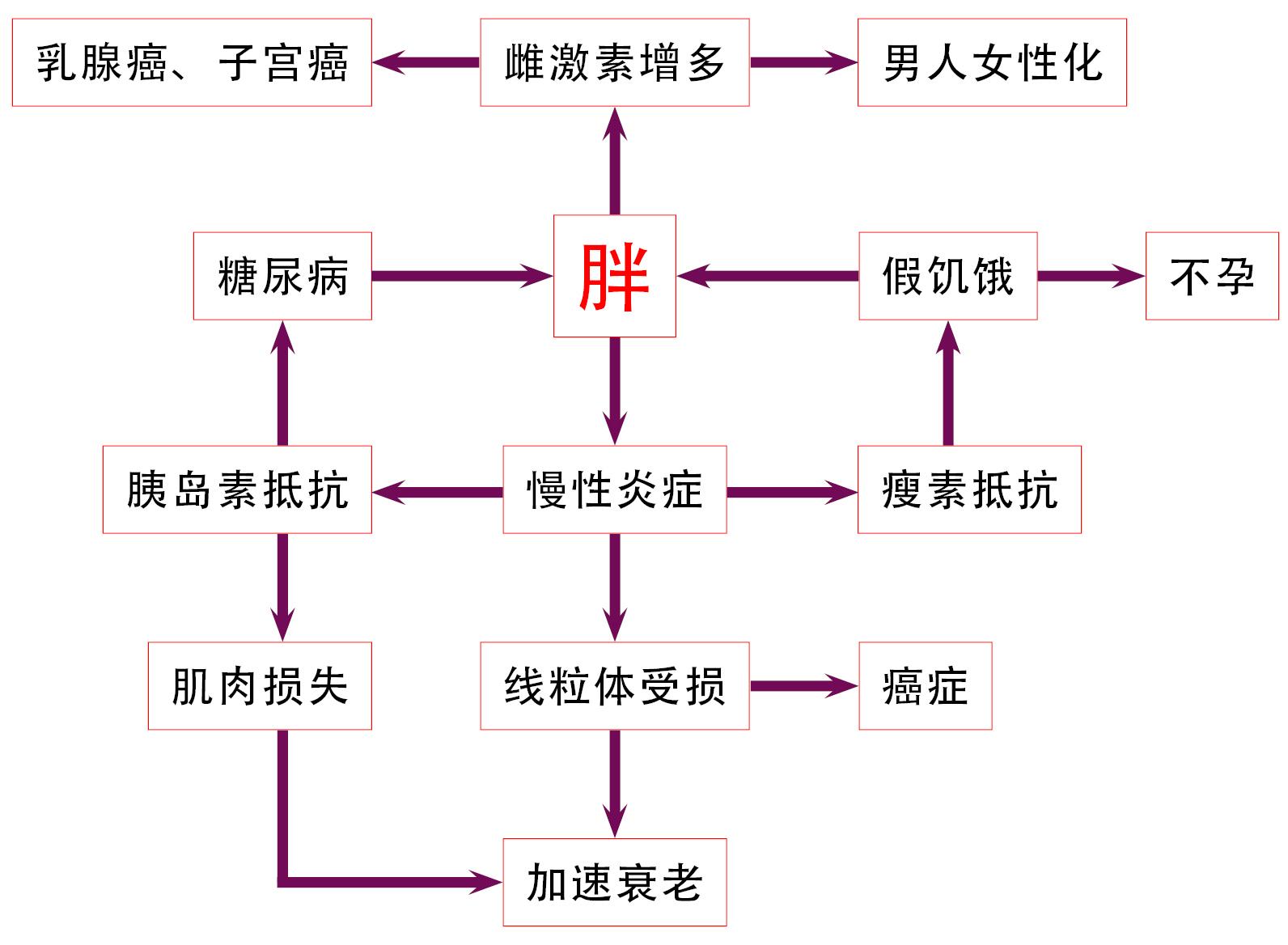 胖只是胖就好了