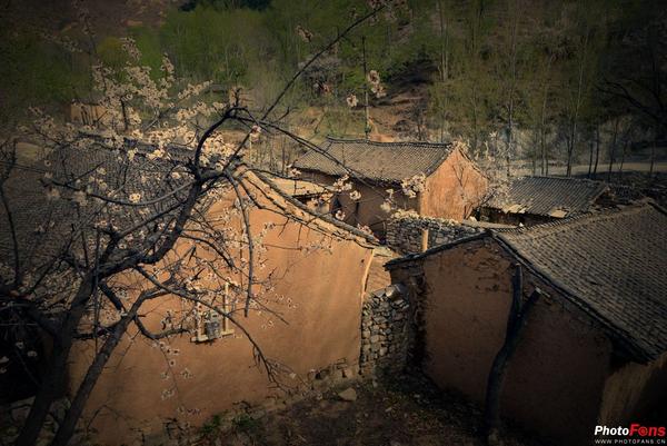 以下几张照片,时间久远些,依然是河北省涞源县,拍摄者——白石老安