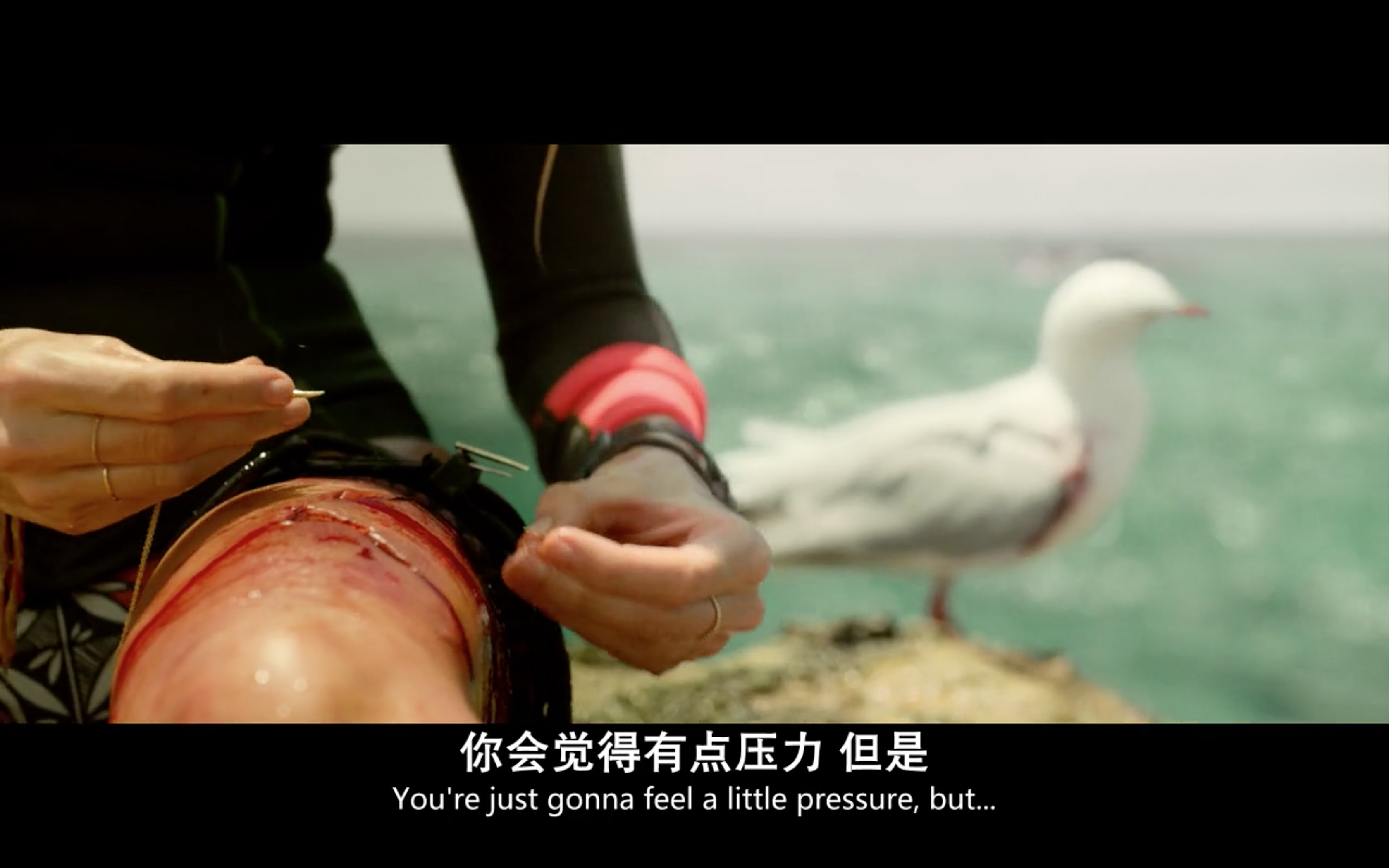 如何评价电影《鲨滩》? - 知乎