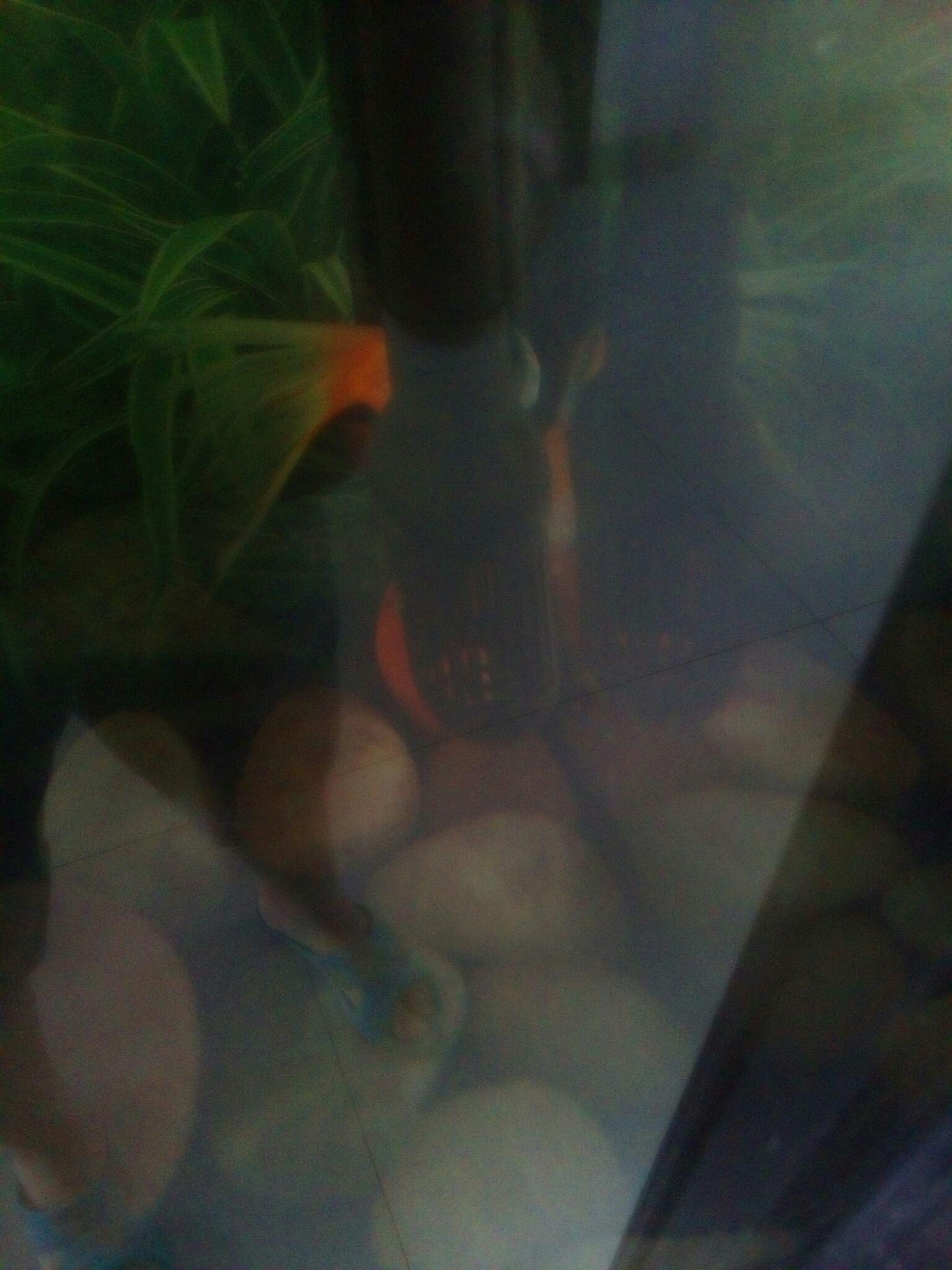 怎么养鱼才不会死鱼 e27e851ac8de5497d39e84f7268b4534_r.jpg