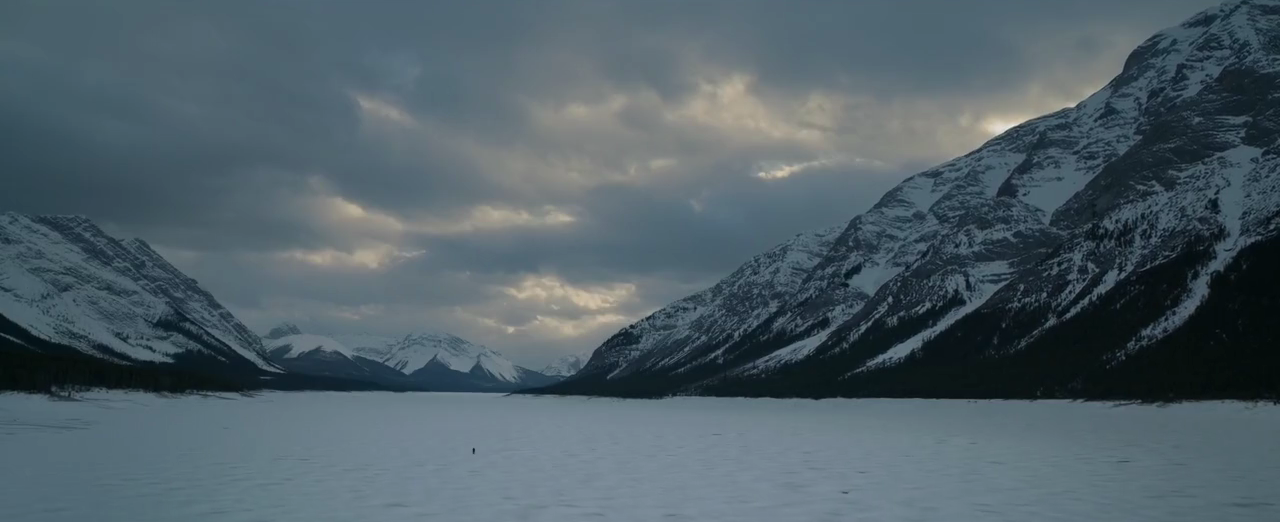 荒野猎人中莱昂纳多被熊撕咬的长镜头是怎么拍出来的