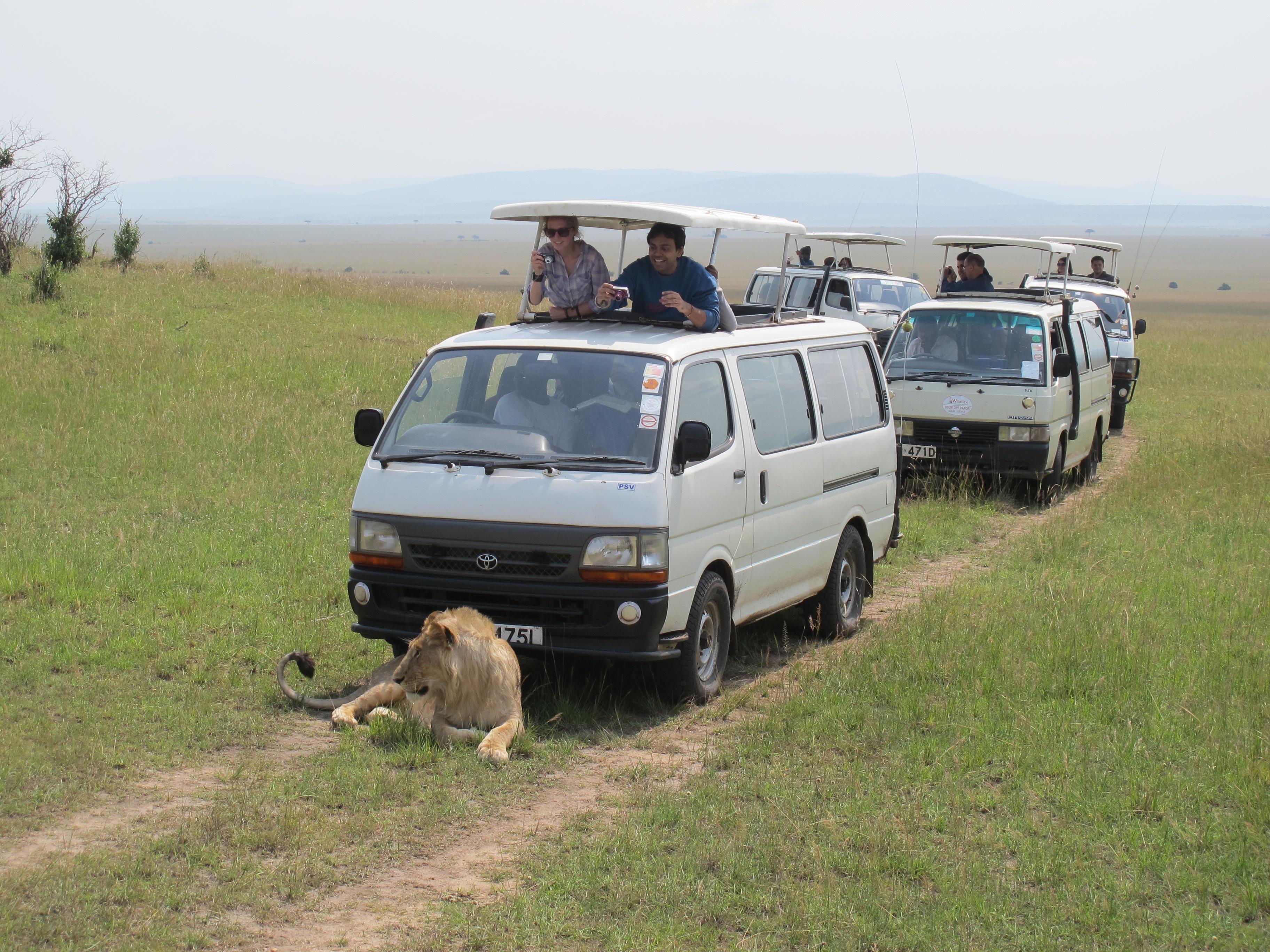 到非洲旅行带 8 岁小朋友同行有哪些需要注意的事项?