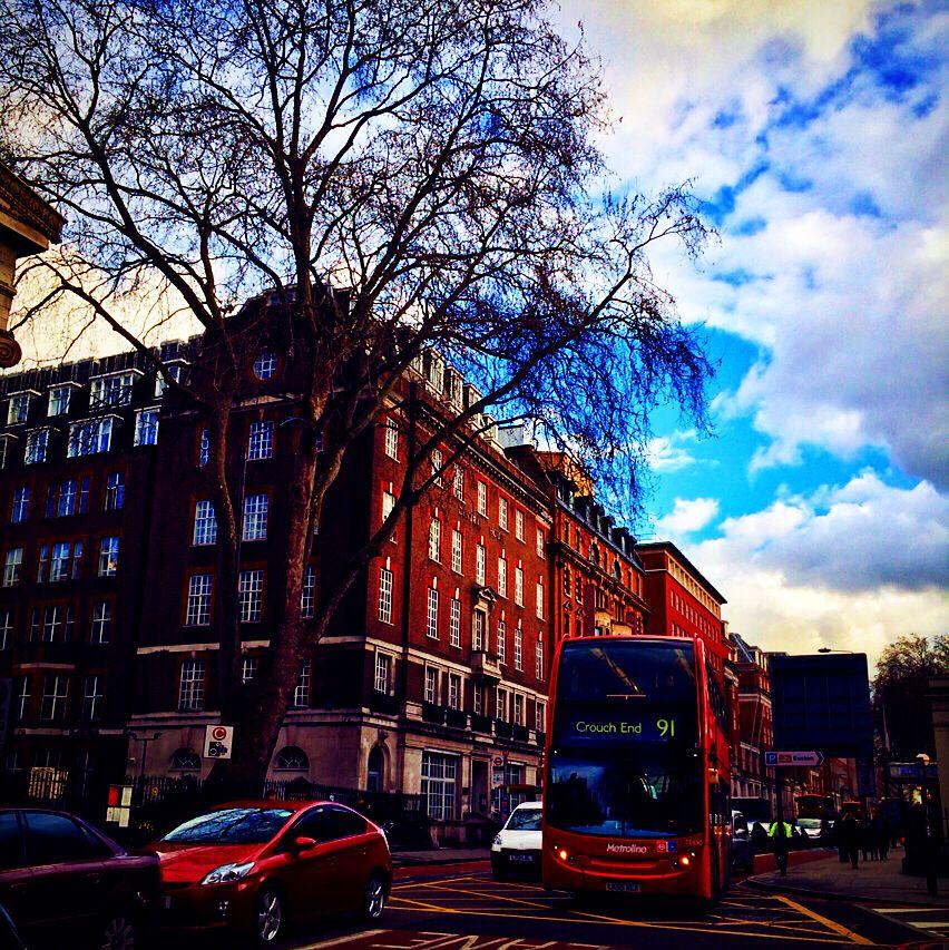 在伦敦大学学院 (University College London) 就