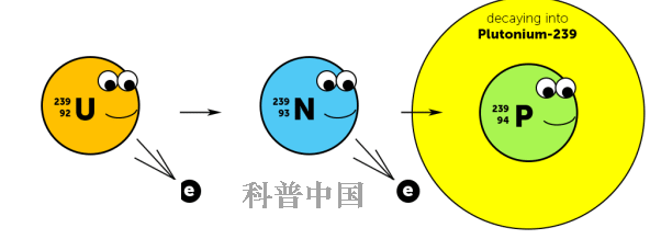 钚239铀235图片