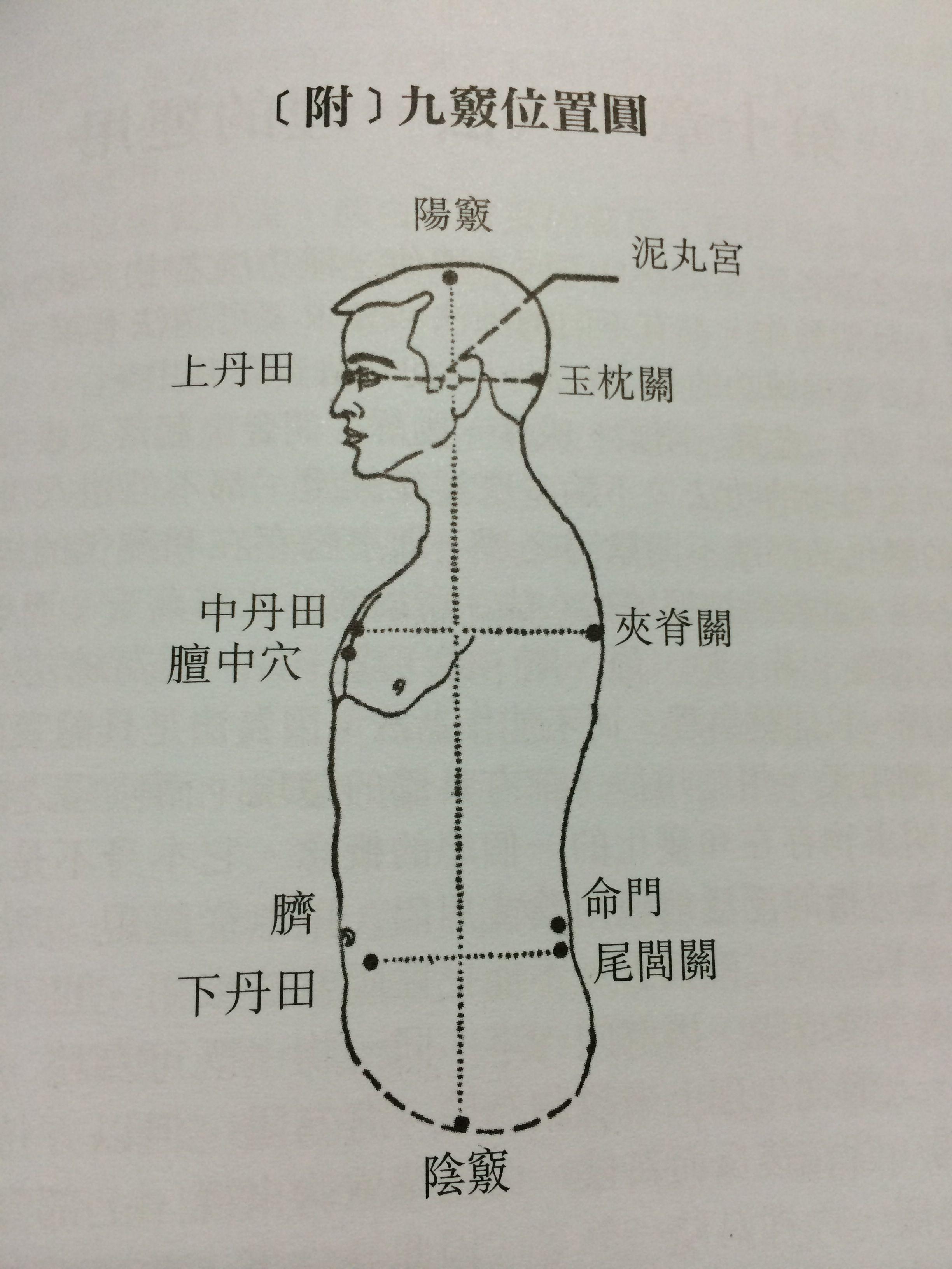 丹田准确位置图 知乎