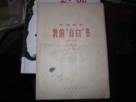捕快,对一切好奇,包括真相…蔡东儿我的自白书捕快,对一切好奇,包括