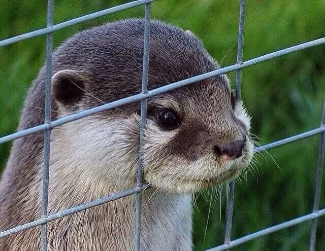 自己给自己剪头发是怎样的一种体验? - 皮皮狗