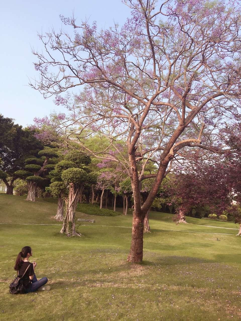 家家顺工作怎么样,为什么老是在招人?而且薪资