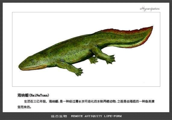 古生代各时期最大的动物是哪些? - 知乎