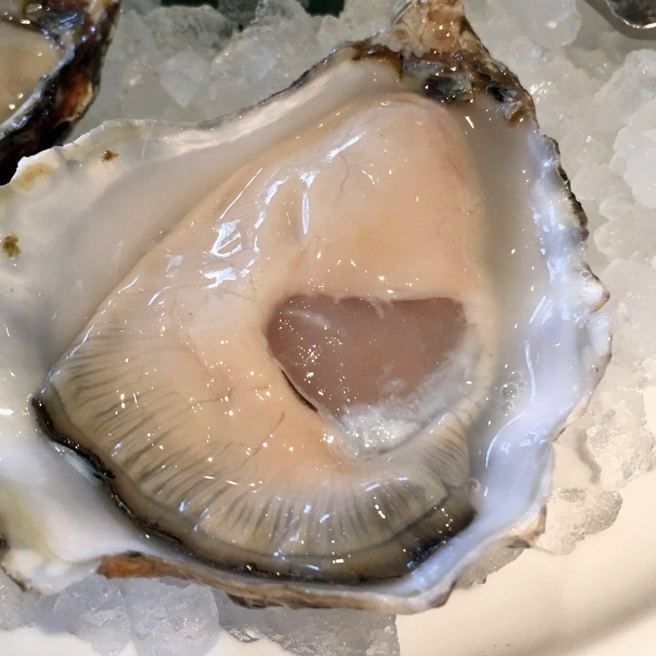 北京哪里有靠谱的吃生蚝的地方