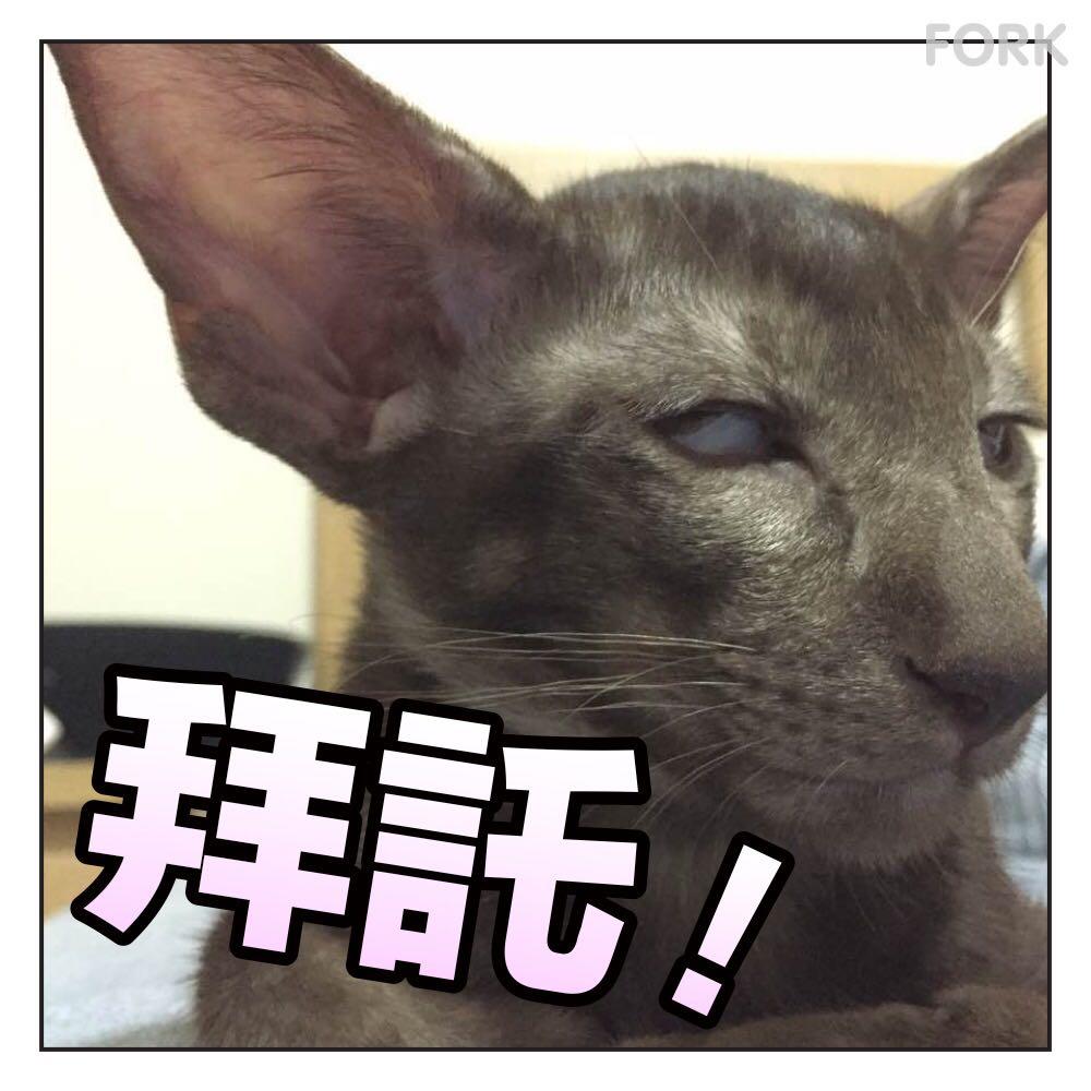 Uber的发音又成了鉴定南北方人的一个重要标