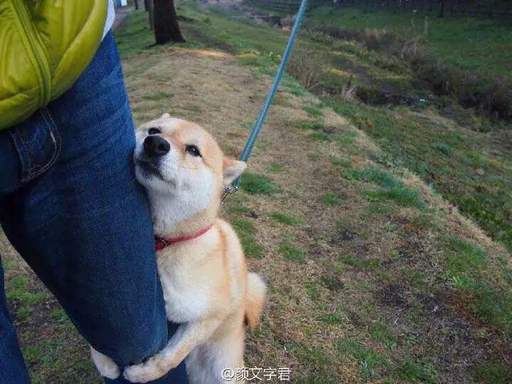 的经济学双学位申请国外直博的难度? - 出国博