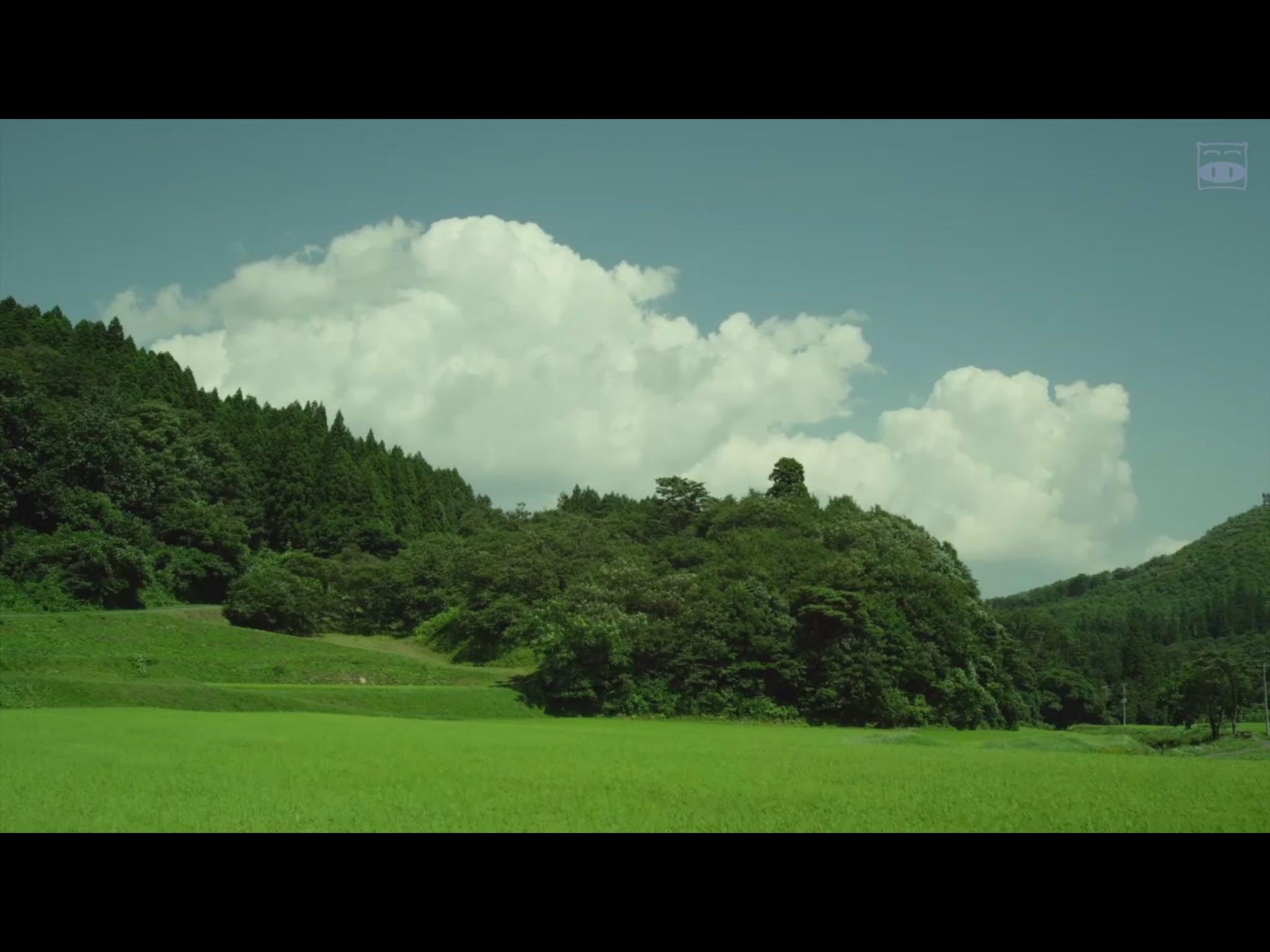 如何评价电影小森林