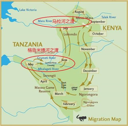 还是直接上图吧: 在整个迁徙途中,有 80% 以上的时间是在 坦桑尼亚的