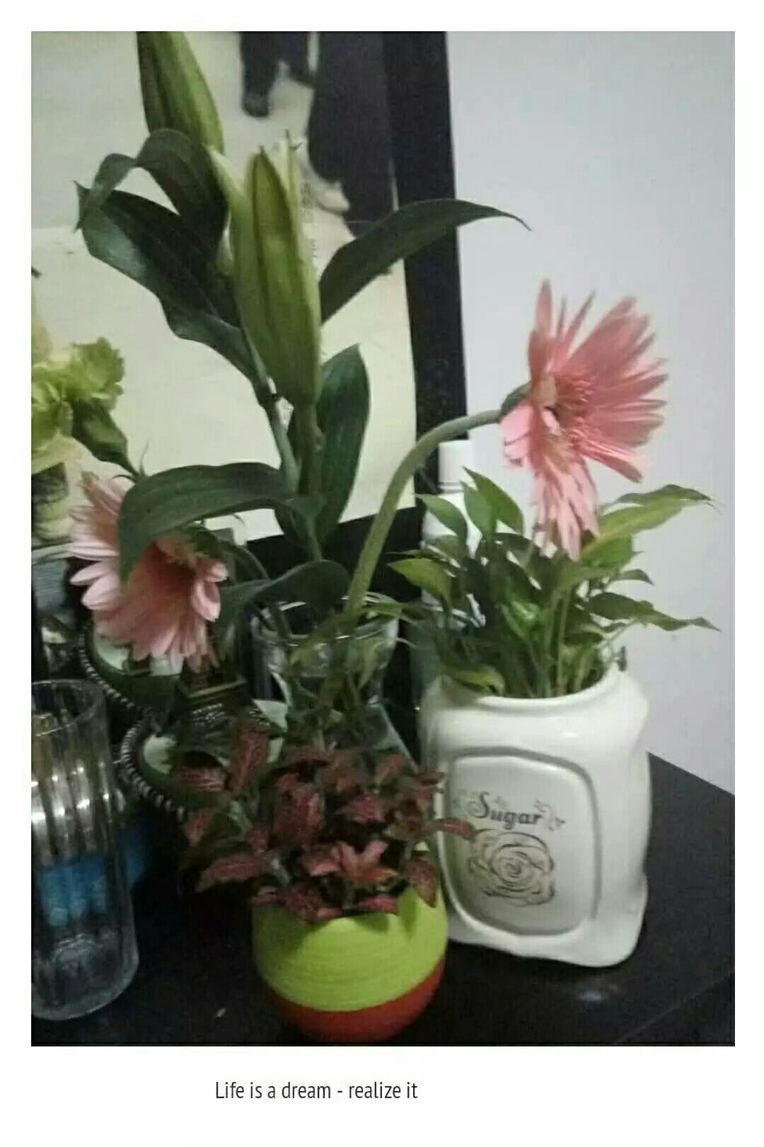 开在云端的花