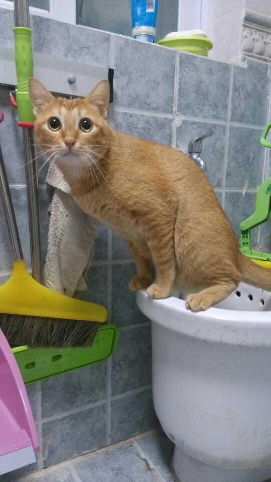 com/f38e02d4f194e123df0b6dd2b90f0844_b.