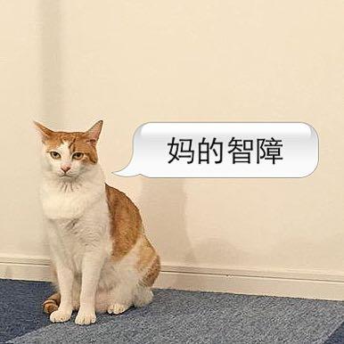 经常做梦梦见自己站高高的楼顶,逆着风跌落。