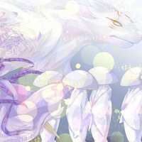 Zhihu profile picture for @whirling