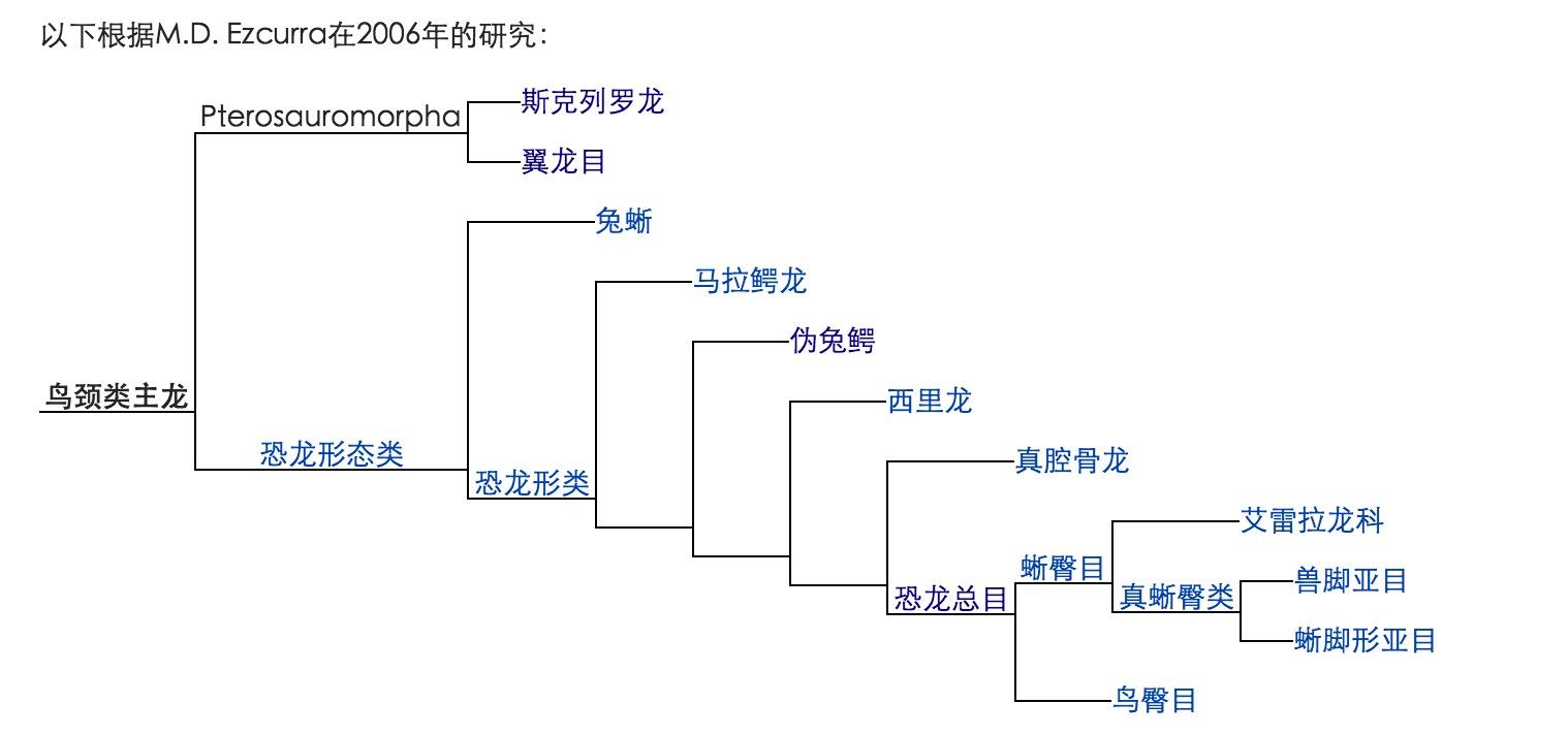 翼手龙和翼龙的区别图片