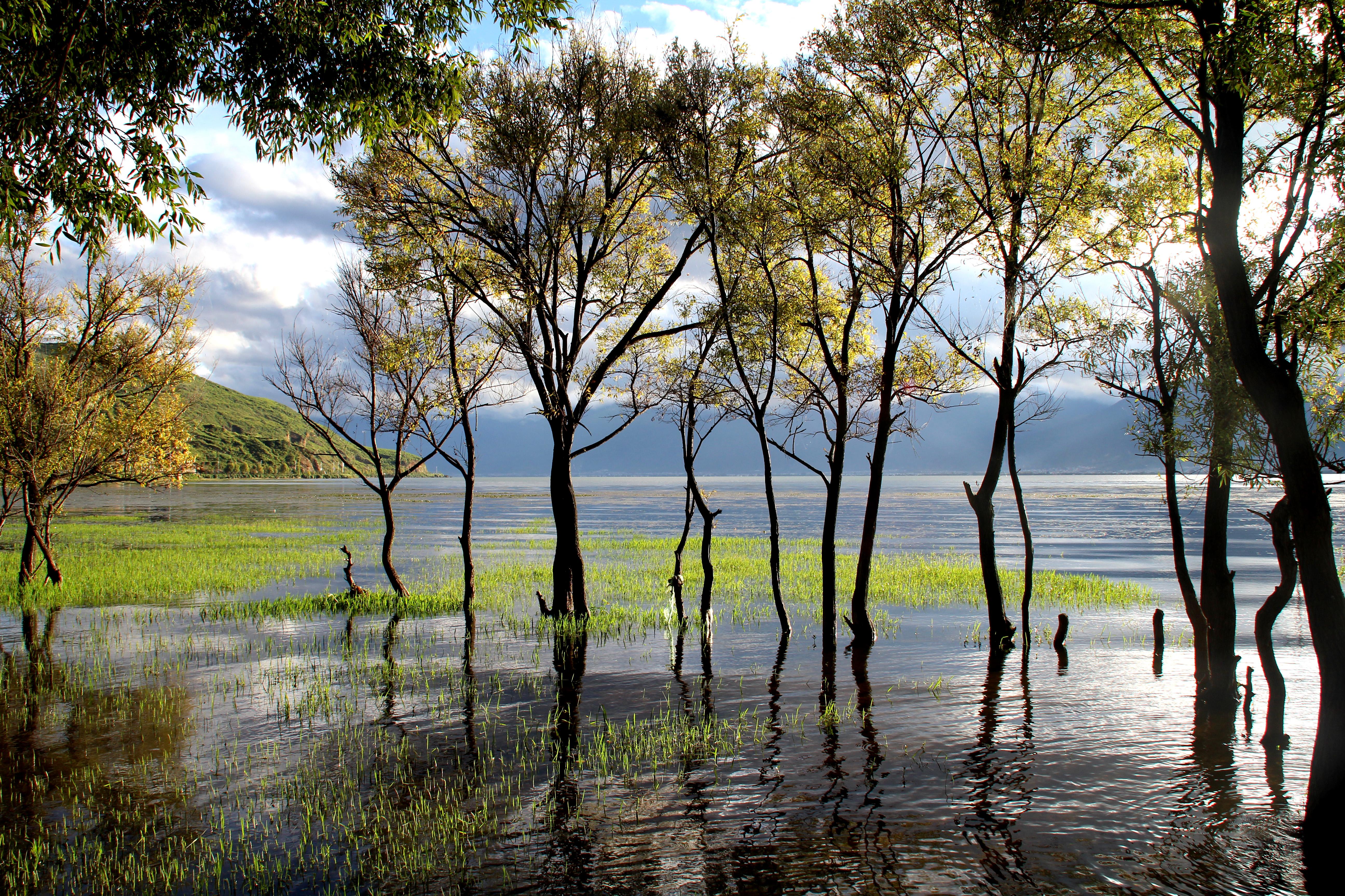 大理古城这边哪里住宿能领略到洱海的美景!请