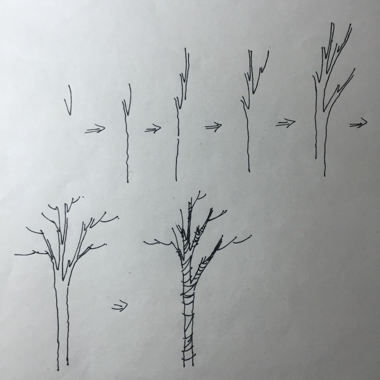 景观手绘中树怎么画比较好看？ - 知乎