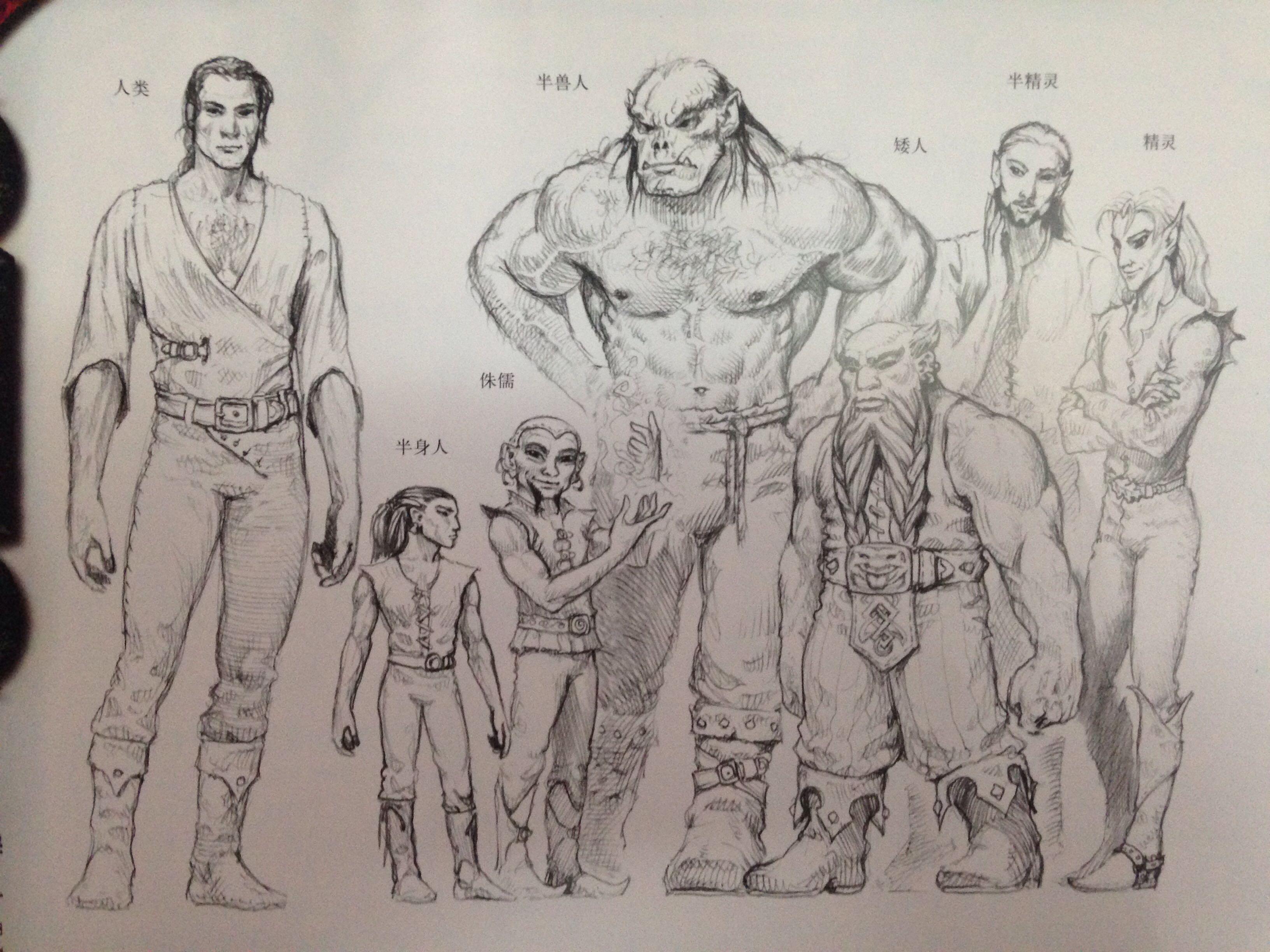 比较一下 半身人 矮人 侏儒 坎德人的身高? - 知乎