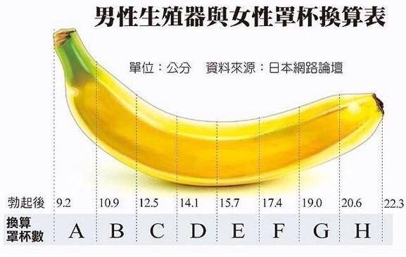 丁丁16cm算是什么水平? - 知乎