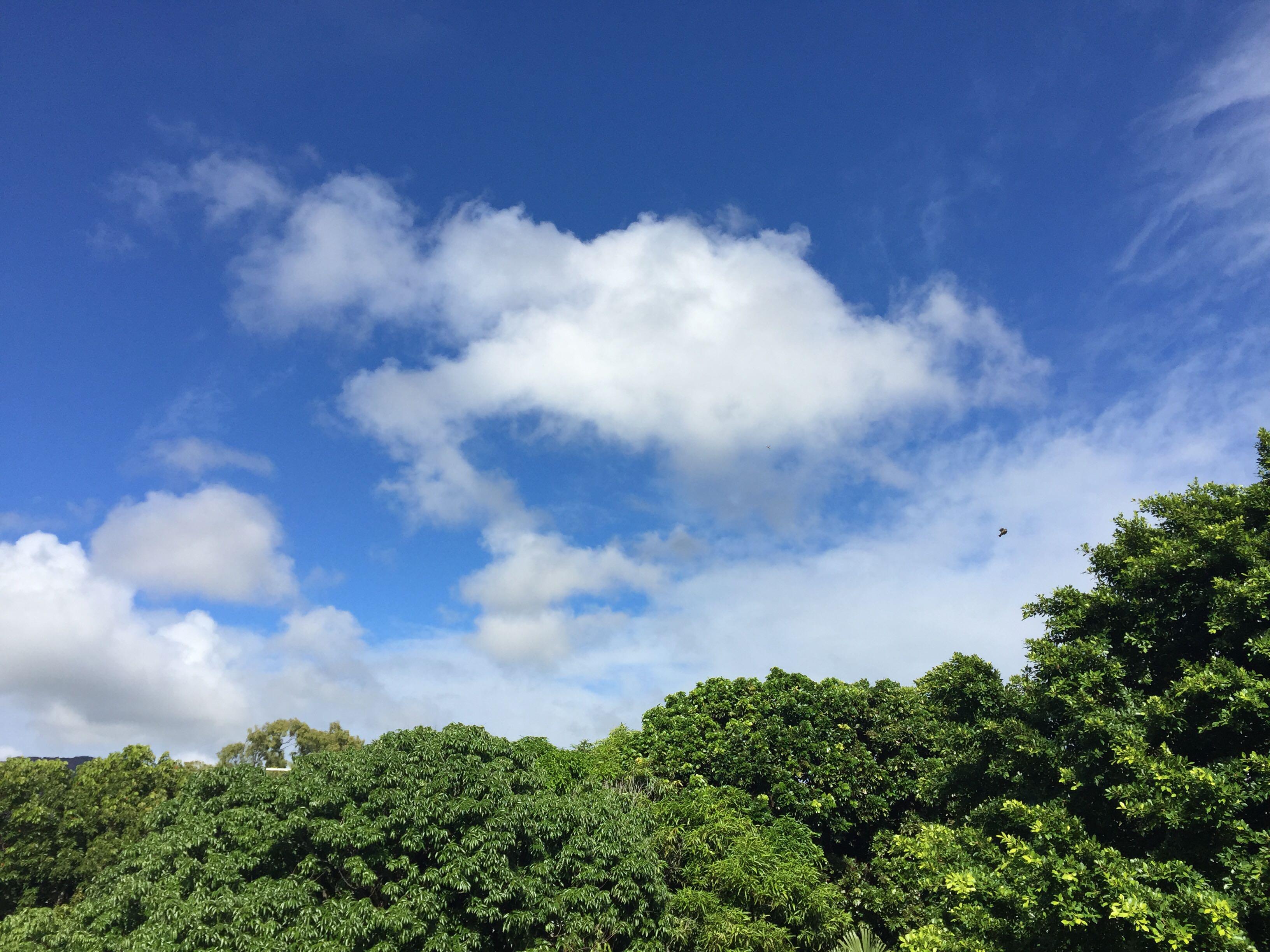 有哪些冷门的留学国家?