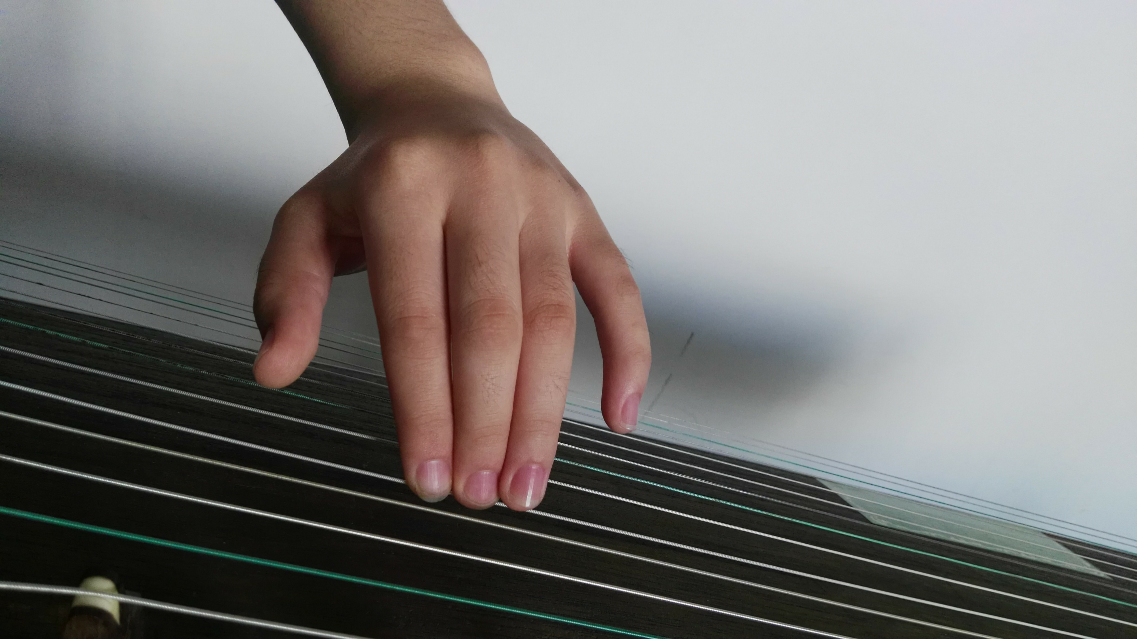 [cp]【古筝知识——左手按弦】怎么在古筝演奏中左手恰到好处的"吟,揉