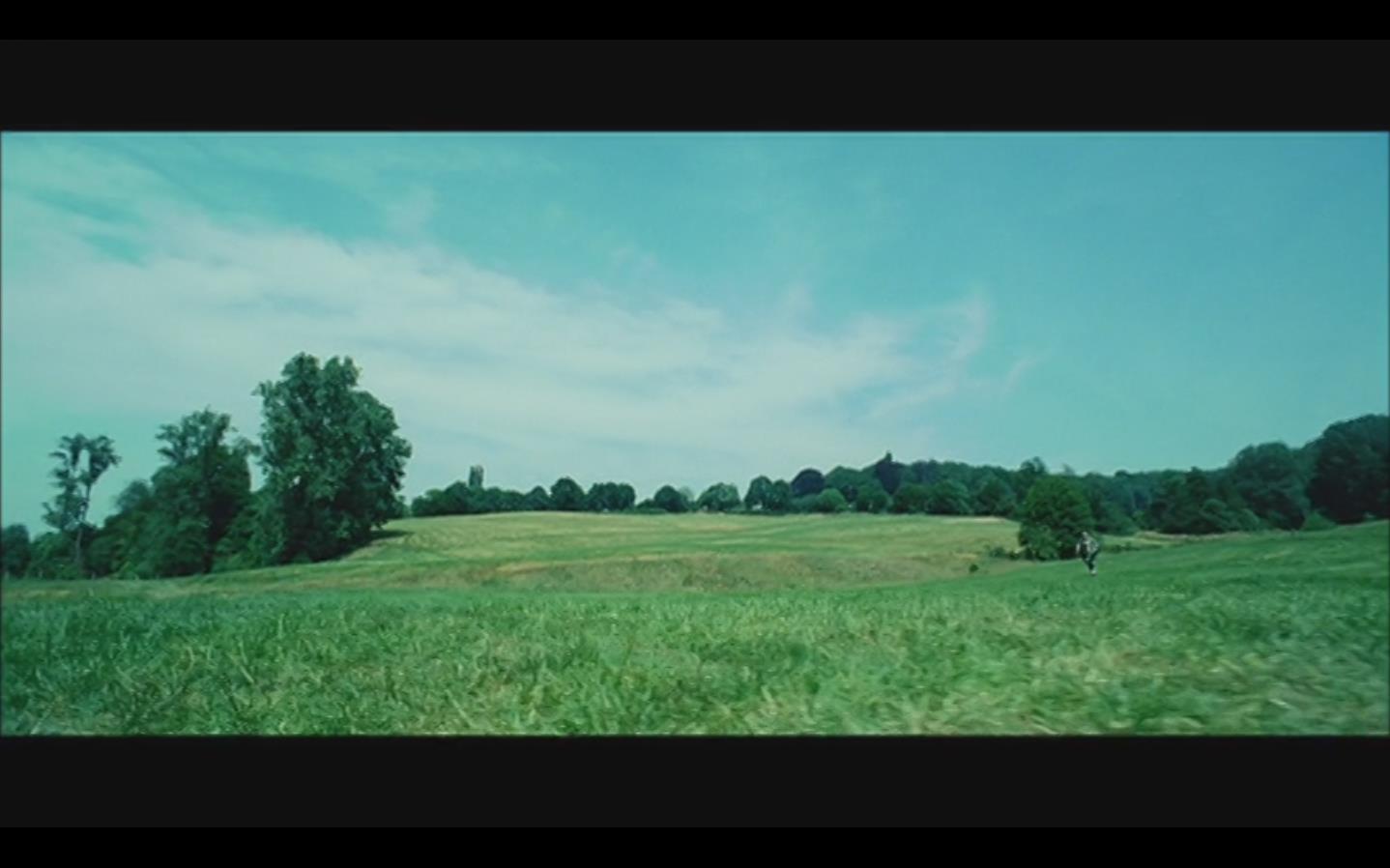 如何评价电影《雏菊》?