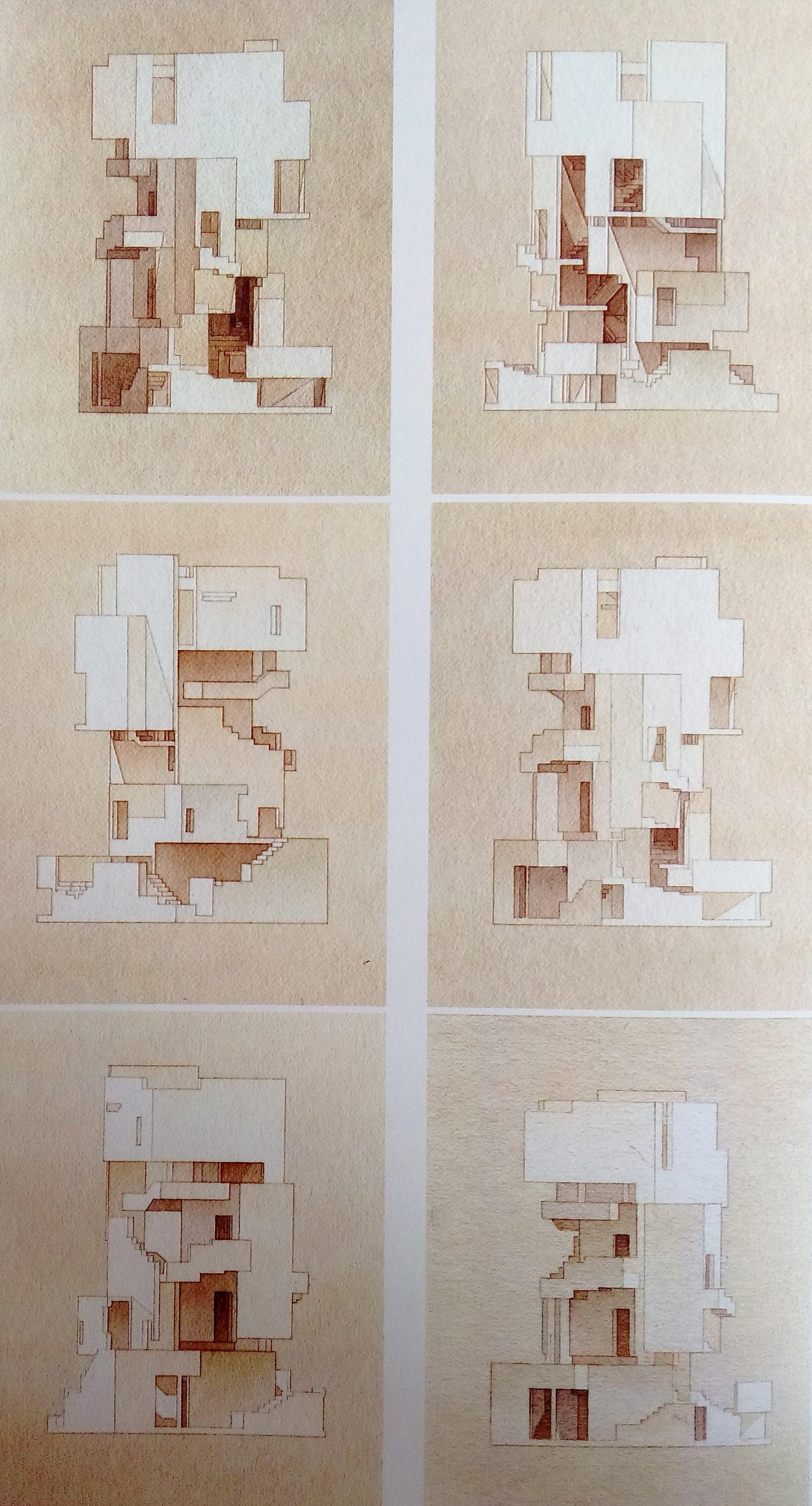 如何看待王欣的乌有园实验?