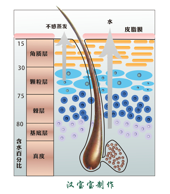 皮肤水分含量标准? - 知乎
