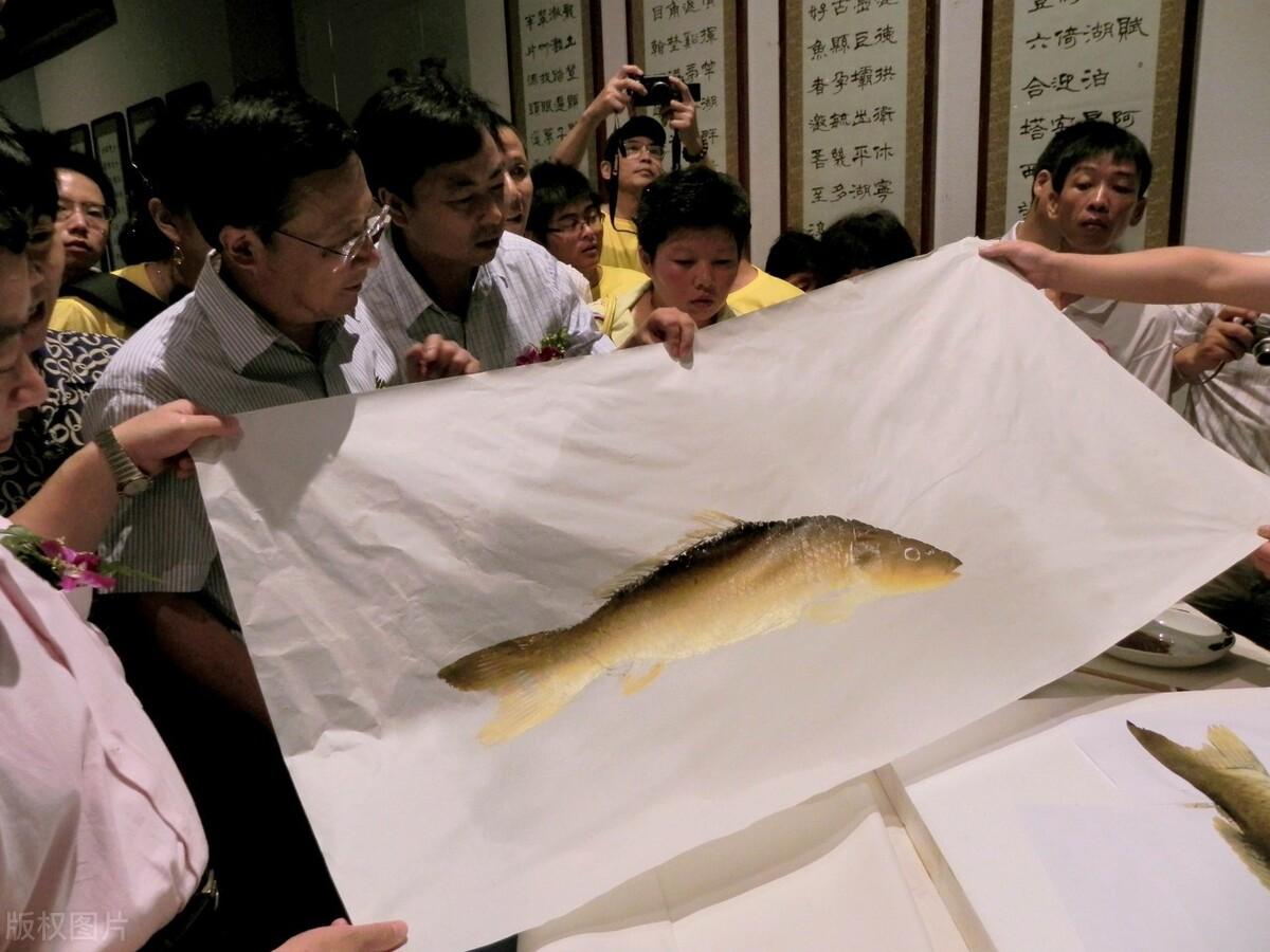 如果将活鱼拓画您能欣赏得了这样的艺术吗